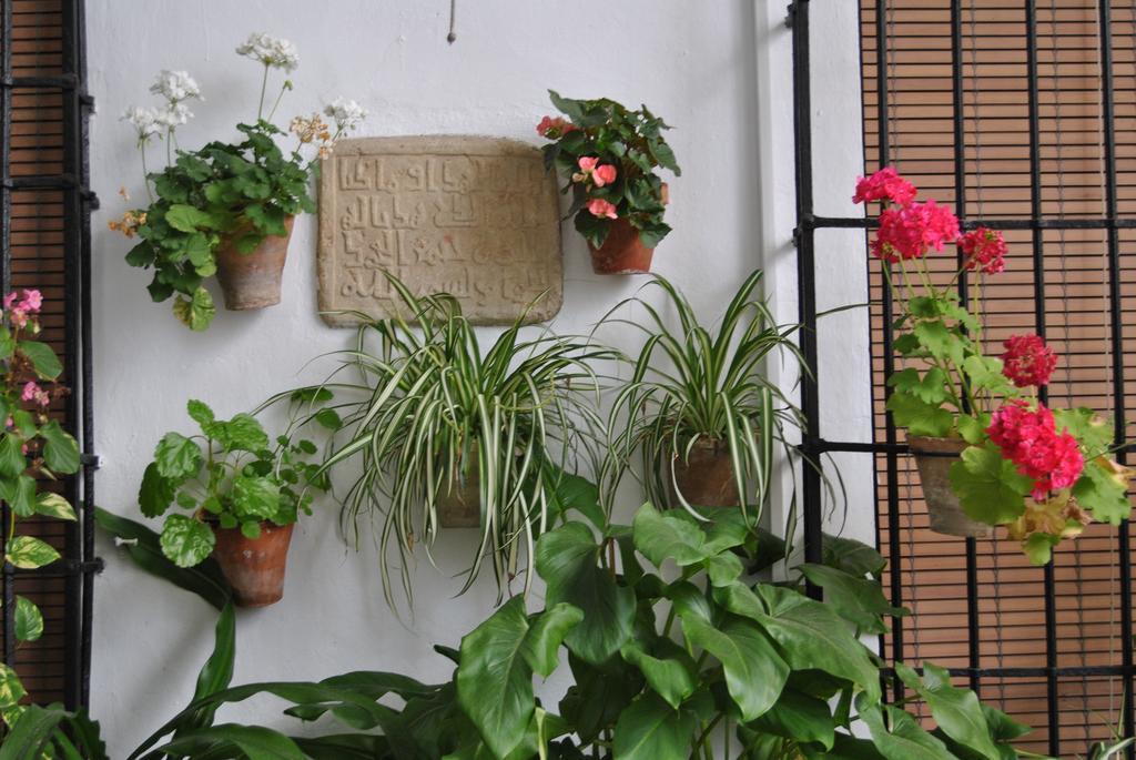קורדובה Los Patios מראה חיצוני תמונה