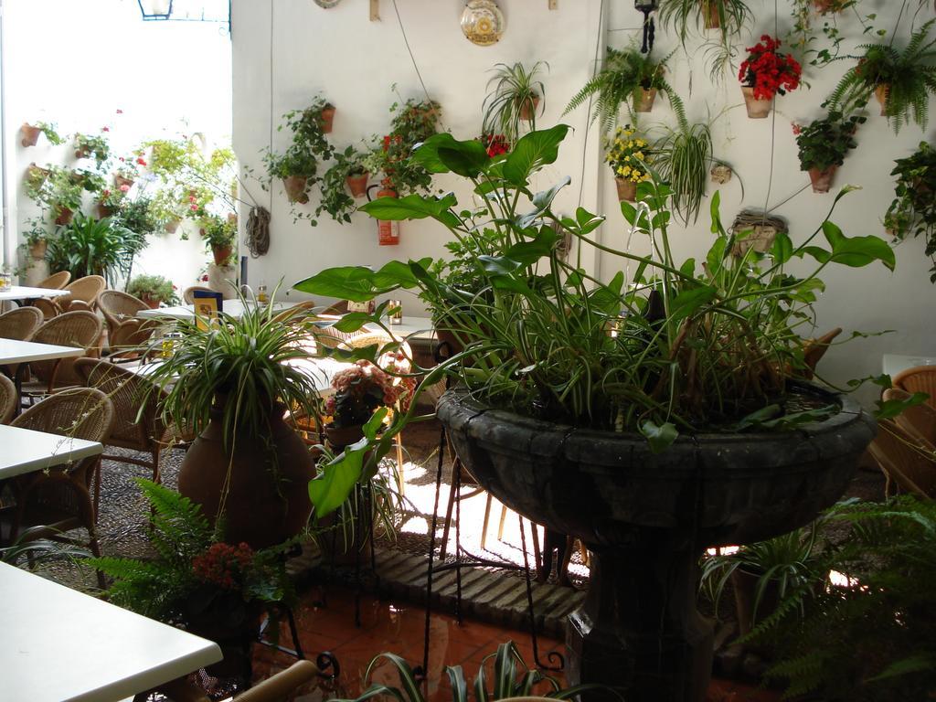 קורדובה Los Patios מראה חיצוני תמונה